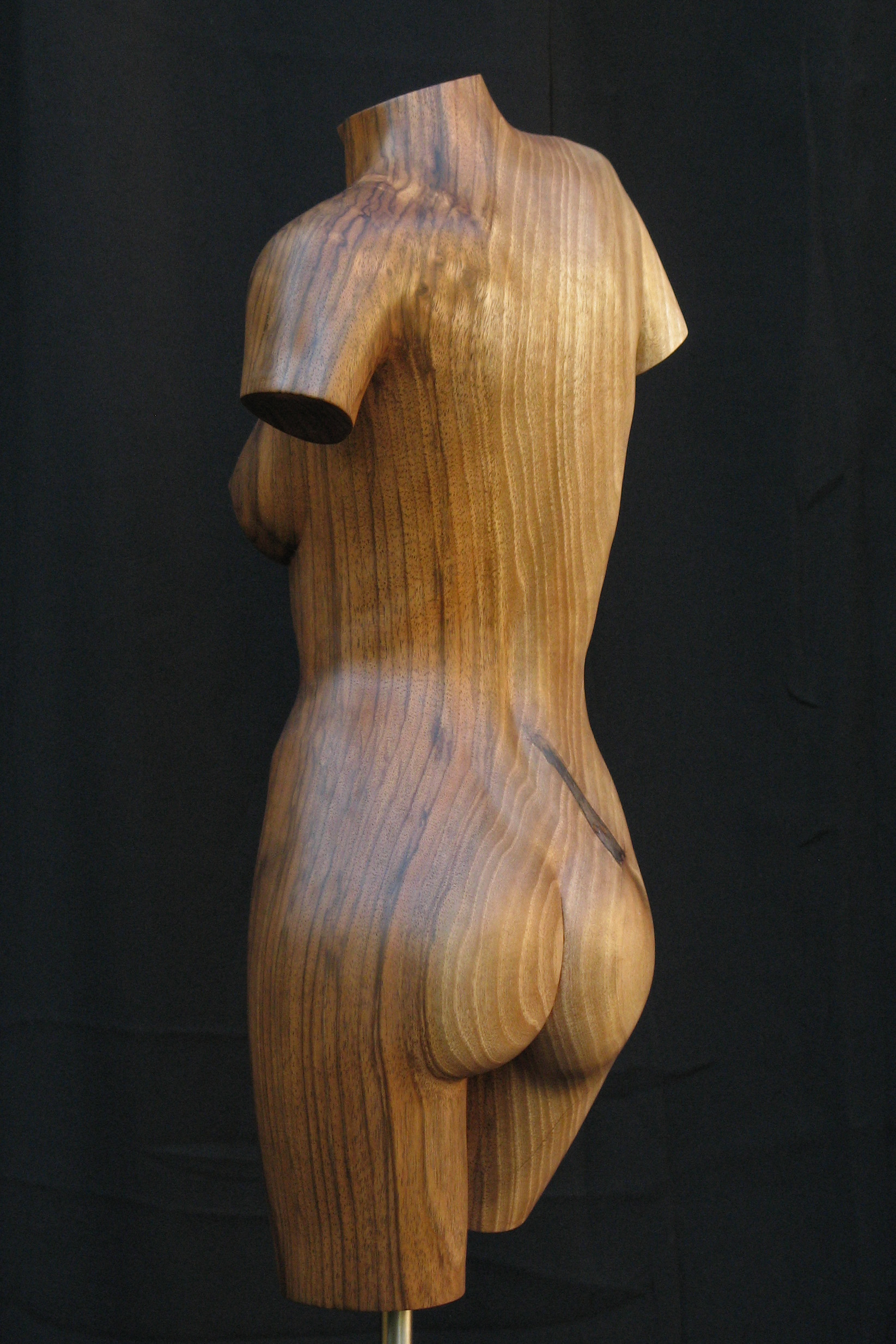 Torso #2, beeld van hout, vrouwelijke torso, linkerzijde