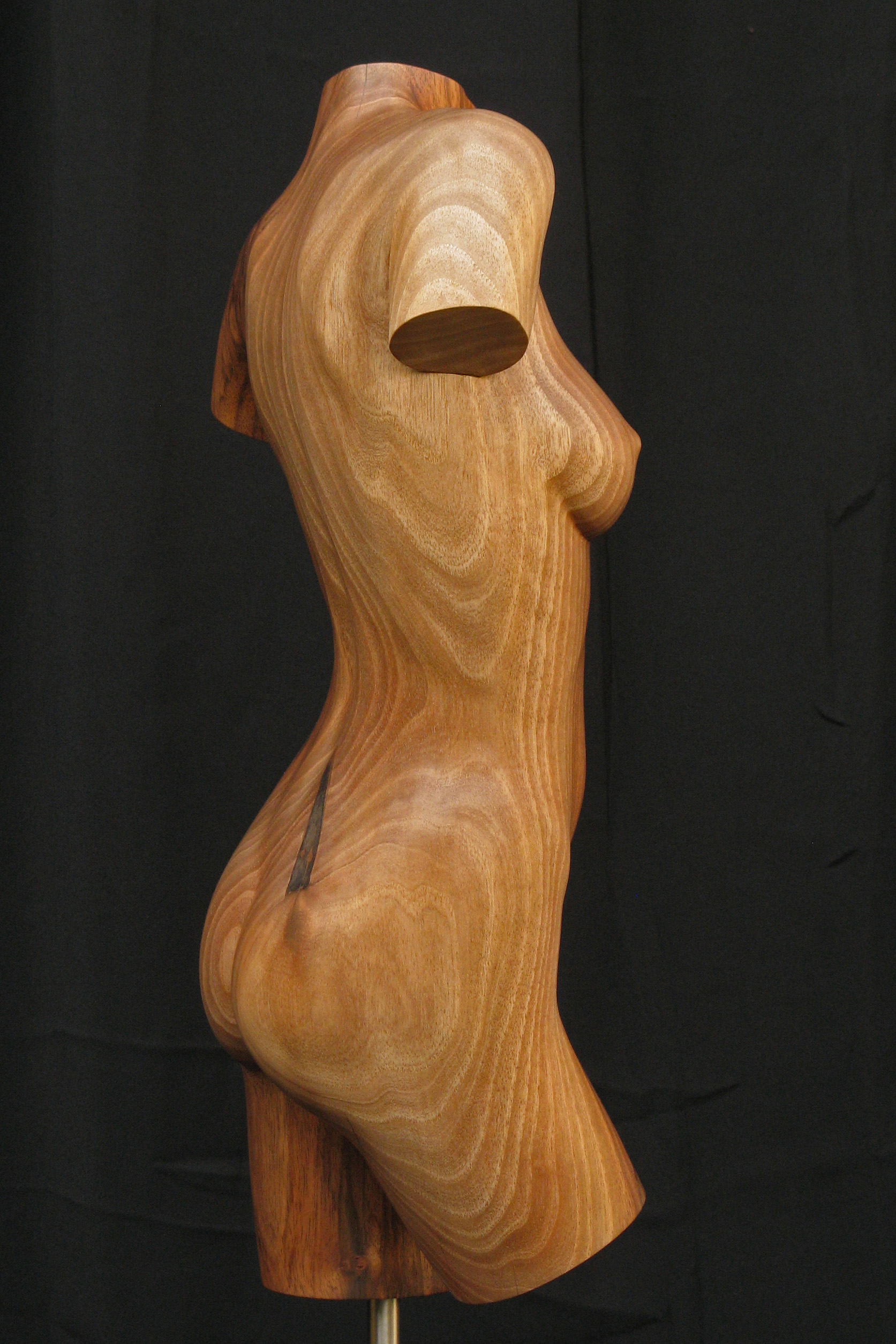 Torso #2, beeld van hout, vrouwelijke torso, rechterzijde